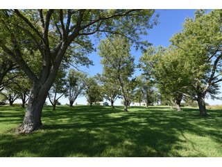Property photo 52 - Tillable, Pasture, Recreational, Hunting and Fishing Property  